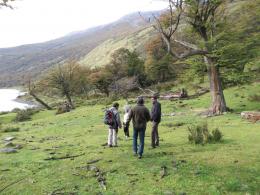 Patagonia Expedition: Discovering the Wild Beauty of the South




 (4)