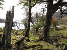 Patagonia Expedition: Discovering the Wild Beauty of the South




 (5)