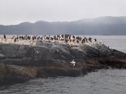 Patagonia Expedition: Discovering the Wild Beauty of the South




 (10)