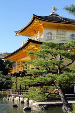 Japan's Essence: A 9-Day Adventure (4)