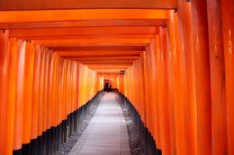 Japan's Essence: A 9-Day Adventure (6)