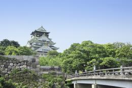 Japan's Essence: A 9-Day Adventure (9)