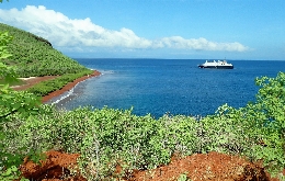 Ecuador And The Galapagos Islands - A Tour Back To Nature (5)