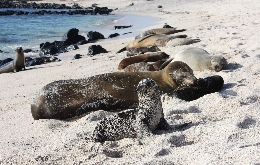 Ecuador And The Galapagos Islands - A Tour Back To Nature (4)