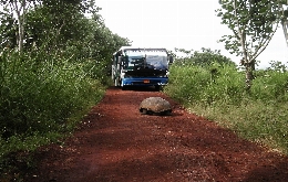 Ecuador And The Galapagos Islands - A Tour Back To Nature (1)