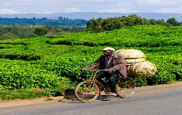 Kivu Adventure - Visit Burundi, Democratic Republic of the Congo and Rwanda (2)