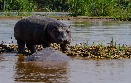 Kivu Adventure - Visit Burundi, Democratic Republic of the Congo and Rwanda (7)