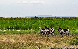 Kivu Adventure - Visit Burundi, Democratic Republic of the Congo and Rwanda (8)
