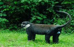 Kivu Adventure - Visit Burundi, Democratic Republic of the Congo and Rwanda (14)