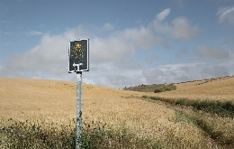Sarria to Santiago de Compostela. Camino de Santiago French Way - Part 8 (3)