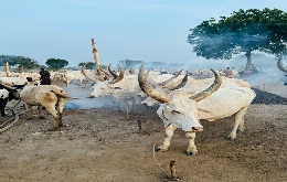 South Sudan - Land of the Cattle Herders with Penguin Travel (3)