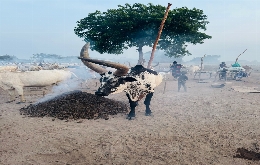 South Sudan - Land of the Cattle Herders with Penguin Travel (2)