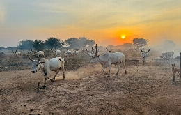 South Sudan - Land of the Cattle Herders with Penguin Travel (1)