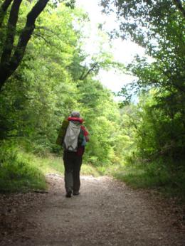 Camino de Santiago - French Way - Part 1 Saint Jean Pied de Port to Pamplona (4)