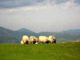 Camino de Santiago - French Way - Part 1 Saint Jean Pied de Port to Pamplona (2)