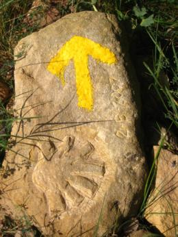 Pamplona to Logrono. Camino de Santiago French Way - Part 2 (2)