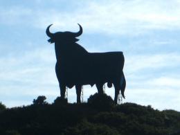 Logrono to Burgos. Camino de Santiago French Way - Part 3 (1)
