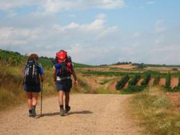 Burgos to Sahagun. Camino de Santiago French Way - Part 4 (3)