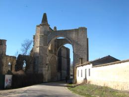 Burgos to Sahagun. Camino de Santiago French Way - Part 4 (1)
