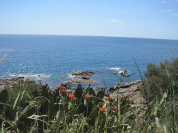 Costa Brava Self Guided Walk: A Scenic Adventure (10)