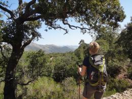 Self guided trekking tour on Mallorca, Spain (7)