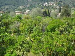 Self guided trekking tour on Mallorca, Spain (4)