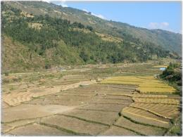 Discover Nepal's Natural Wonders: Trekking, Culture, and Adventure



 (8)