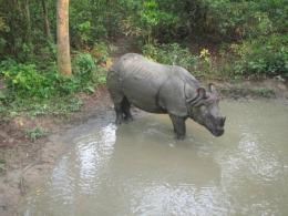 Discover Nepal's Natural Wonders: Trekking, Culture, and Adventure



 (10)
