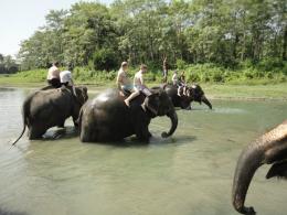 Discover Nepal's Natural Wonders: Trekking, Culture, and Adventure



 (11)
