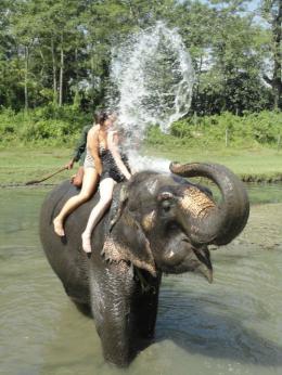 Discover Nepal's Natural Wonders: Trekking, Culture, and Adventure



 (12)