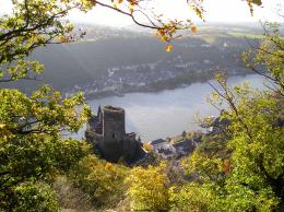 Rhine Walking: Castles, Vineyards & UNESCO Wonders Await (13)