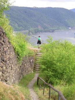 Rhine Walking: Castles, Vineyards & UNESCO Wonders Await (12)