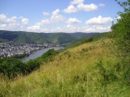 Rhine Walking: Castles, Vineyards & UNESCO Wonders Await (10)
