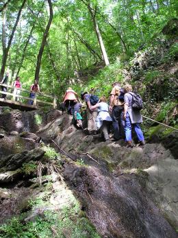 Rhine Walking: Castles, Vineyards & UNESCO Wonders Await (7)