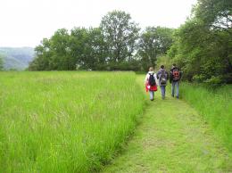 Rhine Walking: Castles, Vineyards & UNESCO Wonders Await (9)