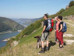 Rhine Walking: Castles, Vineyards & UNESCO Wonders Await (3)