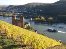 Rhine Walking: Castles, Vineyards & UNESCO Wonders Await (2)