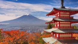 Japan's Essence: A 9-Day Adventure (3)