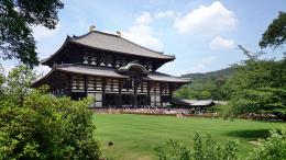 Japan's Essence: A 9-Day Adventure (2)