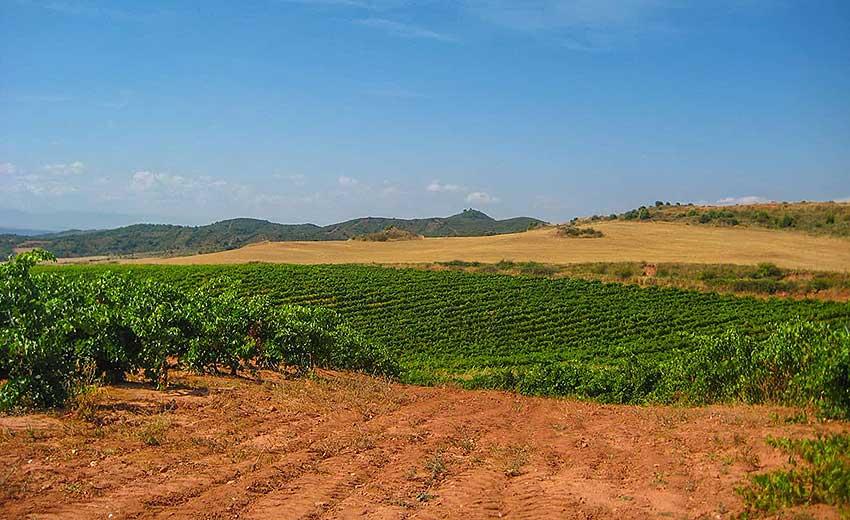 Pilegrimsvandring i Spania Camino de Santiago French Way del 2