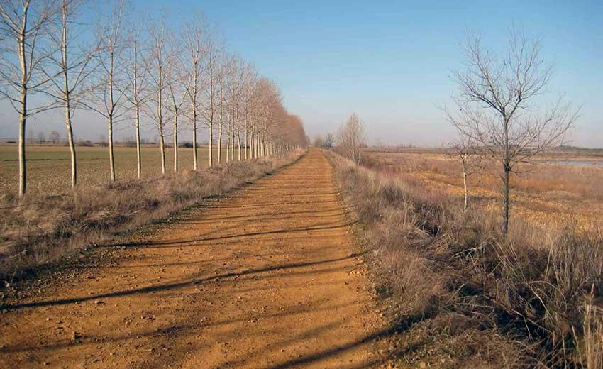 Pilegrimsvandring i Spania Camino de Santiago French Way del 4