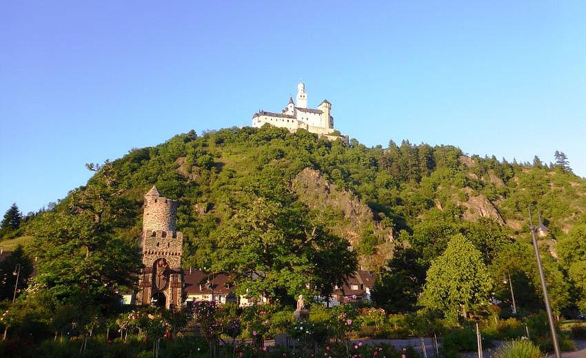 Vandring i Rheingau og Midt-Rhindalen