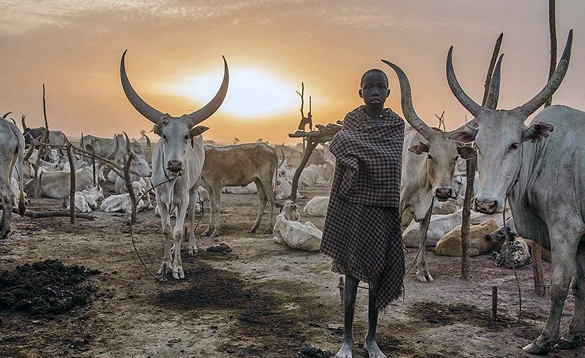 Sør-Sudan- landet til storfehyrdene