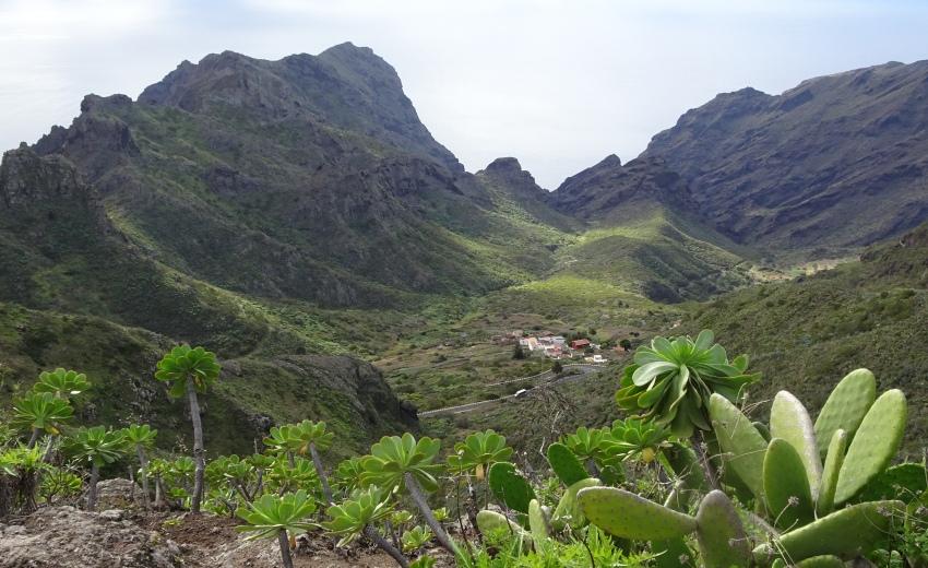 Tenerife - sol, hav og lavastein